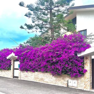 Tulipano Rosso Bari